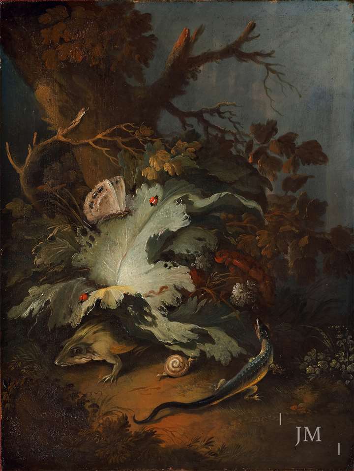 A forest floor with a lizard, frog, snail and insects
